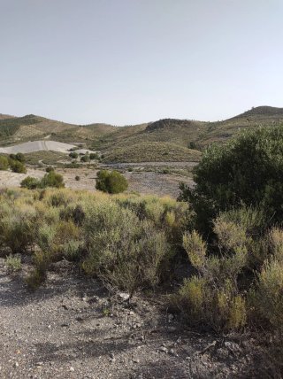 Finca caza: en coto privado de caza con agua