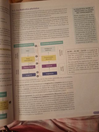 Historia de la Filosofía, 2 Bachillerato, Genio...