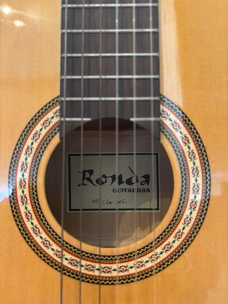 guitarra española con funda