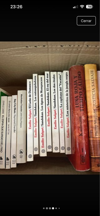 Gran lote de libros por 10€