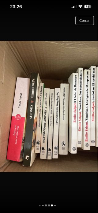 Gran lote de libros por 10€