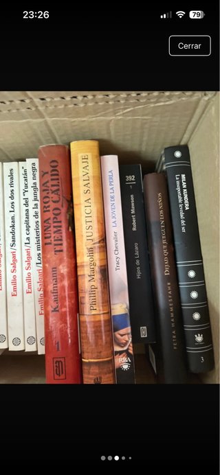 Gran lote de libros por 10€