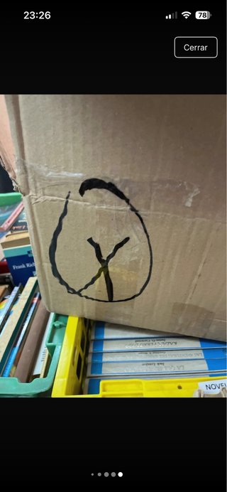Gran lote de libros por 10€