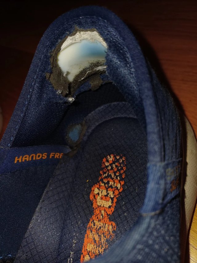 Zapatillas Skechers Slip-ins