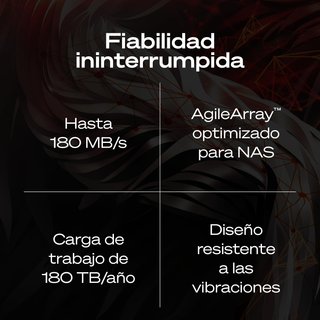 Seagate IronWolf 6TB Disco Duro NAS