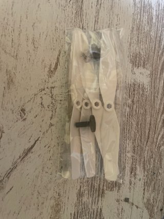 Es muy divertido verlo volar