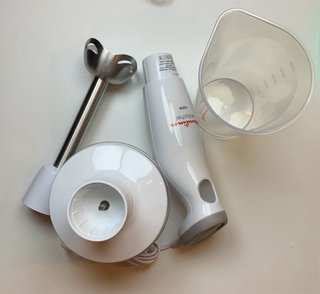 Moulinex Easychef Frullatore ad immersione 450W
