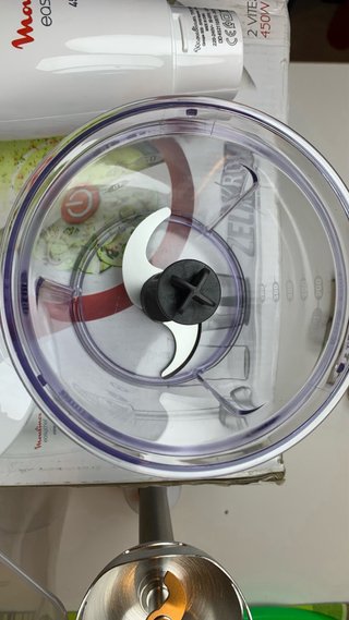 Moulinex Easychef Frullatore ad immersione 450W
