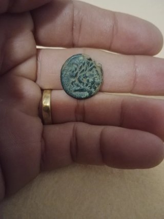Moneda Antigua Griega