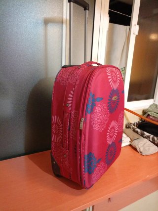 Maleta de viaje 50L con ruedas