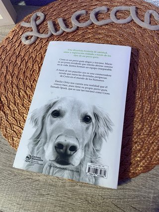 A través de mis pequeños ojos
