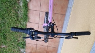 Bicicleta Infantil 20 Rosa