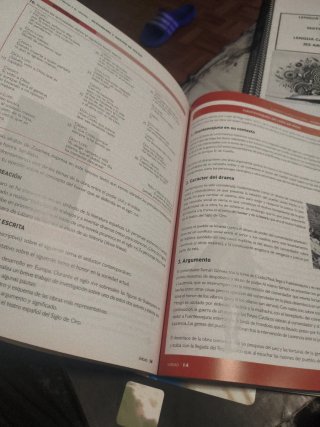 Lengua castellana y literatura 1, Le Bachillerato