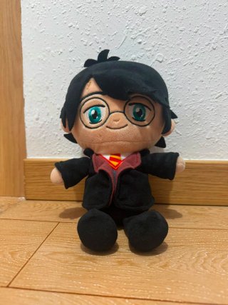 LOTE HARRY POTTER