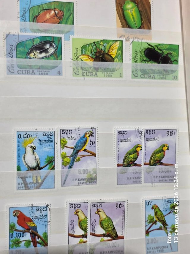 Collezione di francobolli di animali