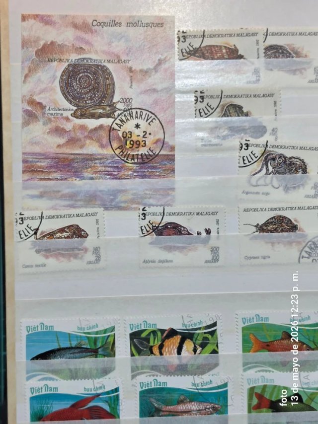 Collezione di francobolli di animali