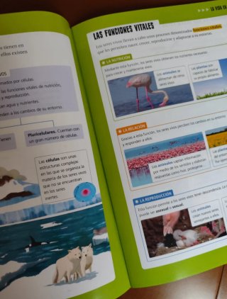 Ciencias de la Naturaleza 3 EDELVIVES