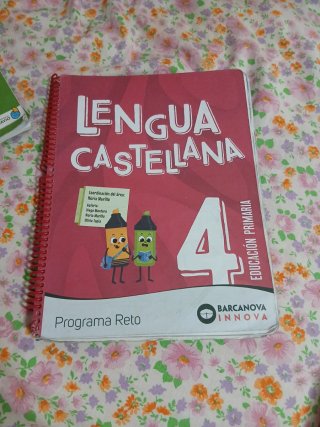 Lengua castellana, 4 Educación Primaria, Progra...