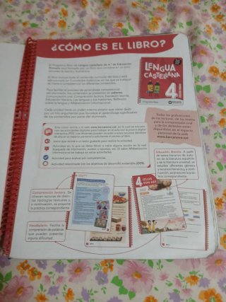 Lengua castellana, 4 Educación Primaria, Progra...