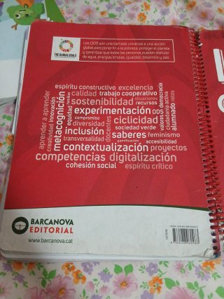 Lengua castellana, 4 Educación Primaria, Progra...