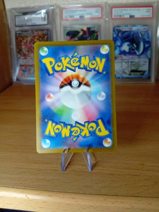 🇯🇵Carta Pokémon Squirtle AR
