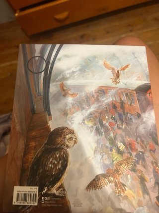 Harry Potter y la piedra filosofal
