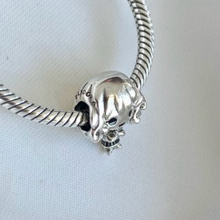 CHARM HARRY POTTER HERMIONE