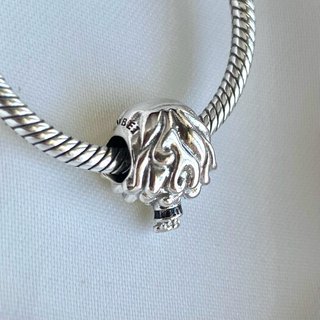 CHARM HARRY POTTER HERMIONE