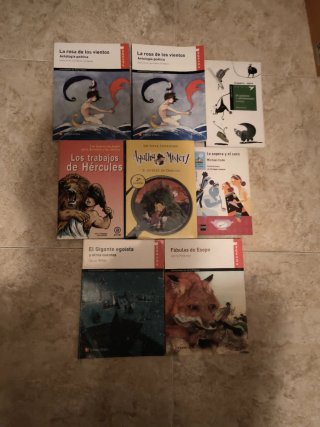 Lote 8 Libros Lectura Primaria y ESO
