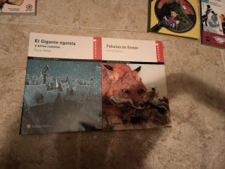 Lote 8 Libros Lectura Primaria y ESO