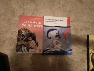 Lote 8 Libros Lectura Primaria y ESO
