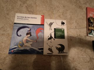 Lote 8 Libros Lectura Primaria y ESO