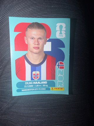 Cromo Erling Haaland Panini 2023