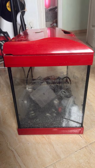 Pecera de cristal roja