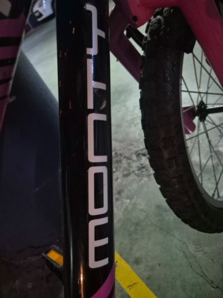 Bicicleta infantil Monty 16 rosa