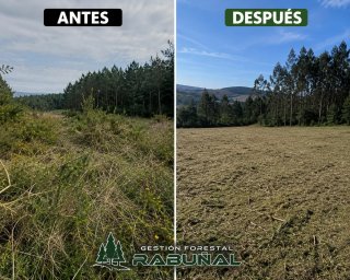 Desbroces forestales