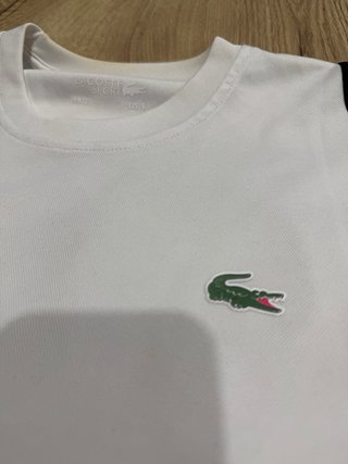 Camiseta Lacoste Talla S Logo Cocodrilo