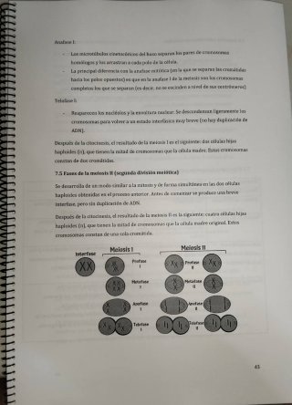 Apuntes Biología PAU 2026
