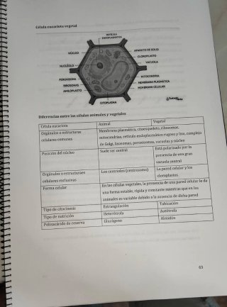 Apuntes Biología PAU 2026