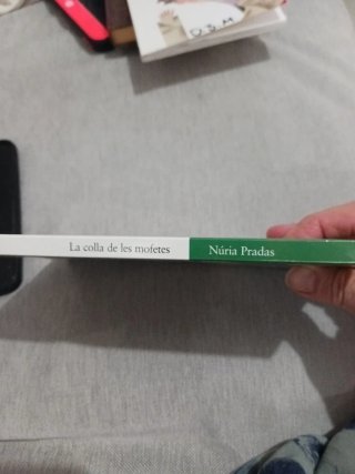 La colla de les mofetes