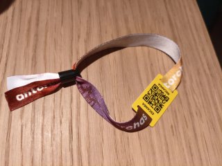 Pulsera Festival Antorchas 2016