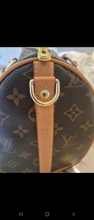 Borsetta Louis Vuitton Speedy Monogram