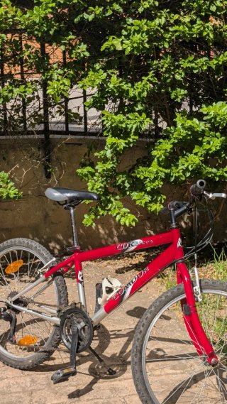 Bicicleta infantil 10-14 años