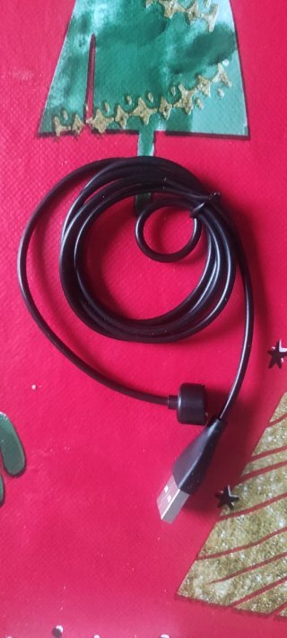 Xiaomi Smart Band 7 Pulsera Actividad Negra