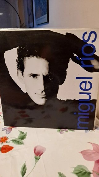 Lote 10 LP 33 RPM Vinilos