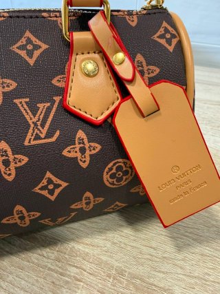 Bolso LV Speedy Marrón y Rojo