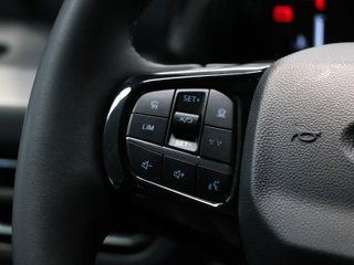 Ford Tourneo Custom 2.0 Ecoblue L1 Titanium X AWD Auto 125 kW (170 CV)