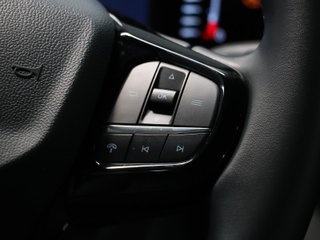 Ford Tourneo Custom 2.0 Ecoblue L1 Titanium X AWD Auto 125 kW (170 CV)