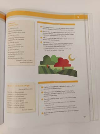 Lengua Castellana y Literatura 1º ESO -  9788468049342