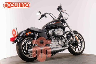 HARLEY DAVIDSON SPORTSTER 883 LOW